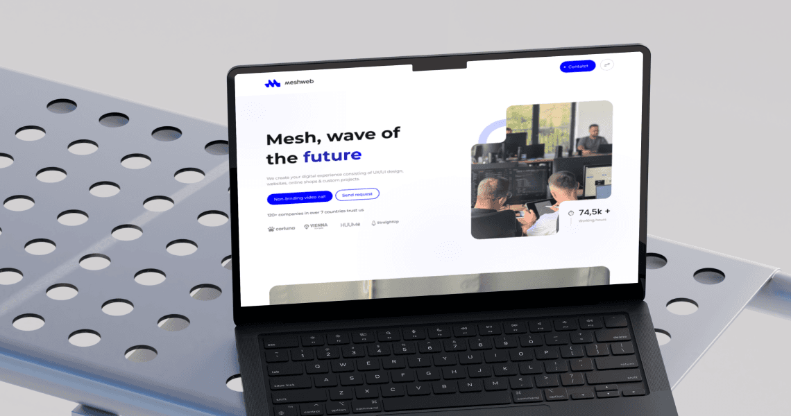 Mesh Web