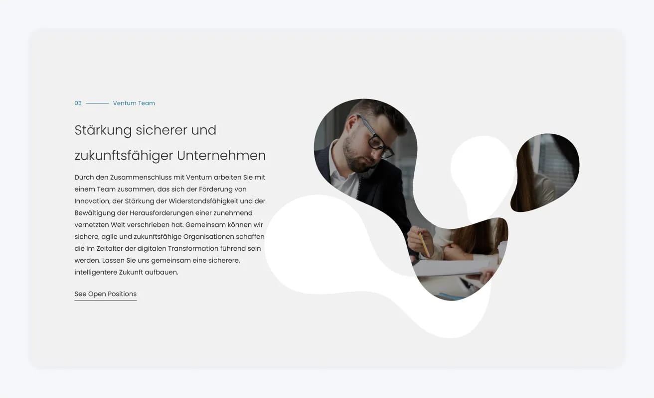 WordPress Sektion – Team