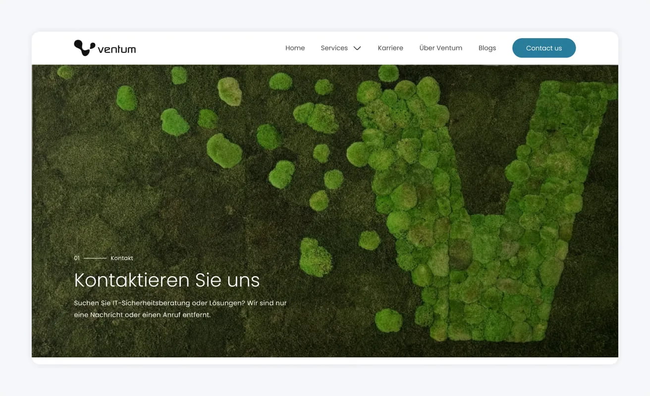 Ventum SEO Section 3